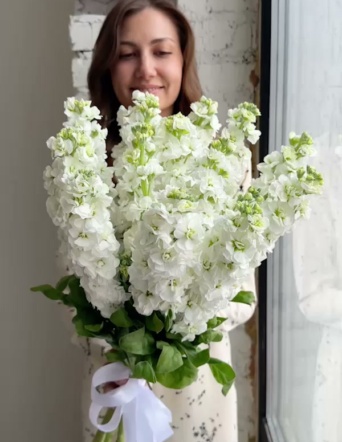 Ароматная маттиола в ленту (15 шт) №2102