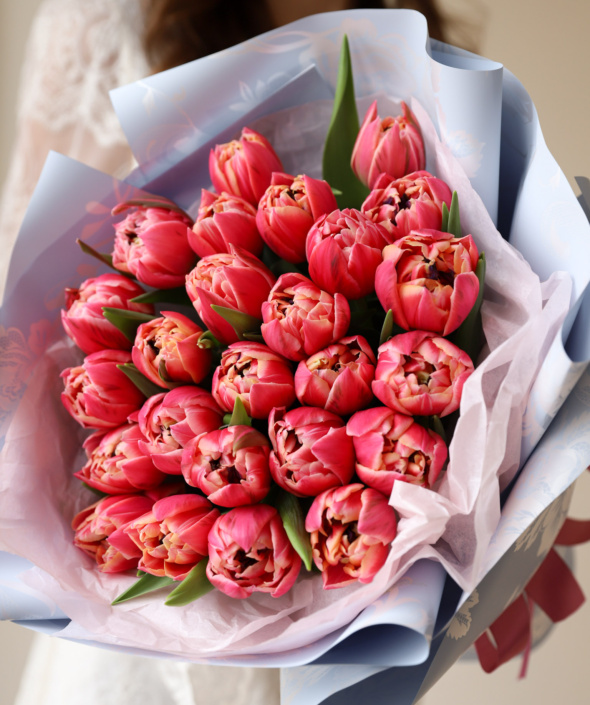 Букет из 25 махровых тюльпанов Колумбус в оформлении №2144