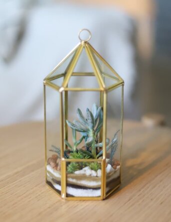 Флорариум для дома №1384