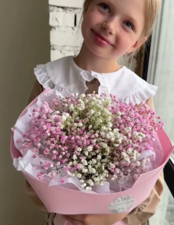 Гипсофила в нежно-розовом оформлении №2113