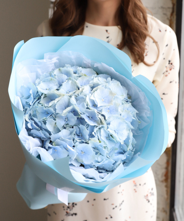 Гортензия голубая в нежном оформлении №1682