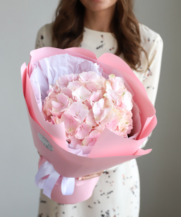 Гортензия розовая в нежном оформлении №1683