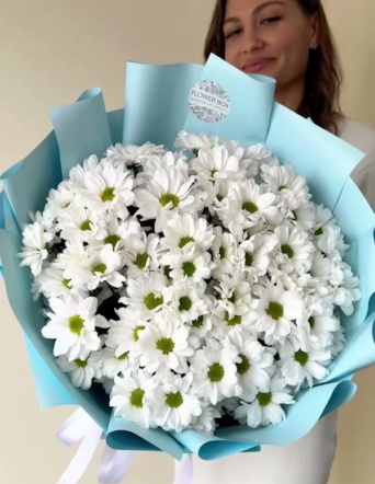 Хризантемы кустовые белые в голубом оформлении (11 шт) №615