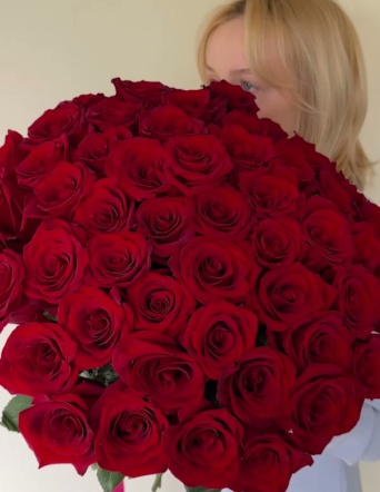 Розы красные в ленту (51 шт) №1724