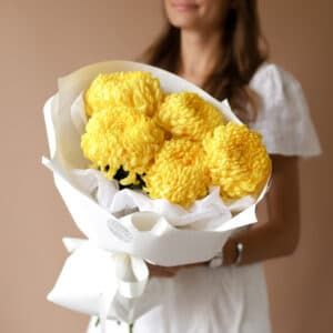Одноголовые желтые хризантемы в белом оформлении (5 шт) №1635 - Фото 3